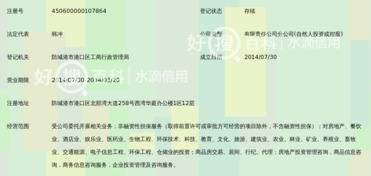 廣西和信高盛非融資性擔(dān)保有限公司防城港分公司 聚焦非融資性擔(dān)保，服務(wù)地方經(jīng)濟(jì)